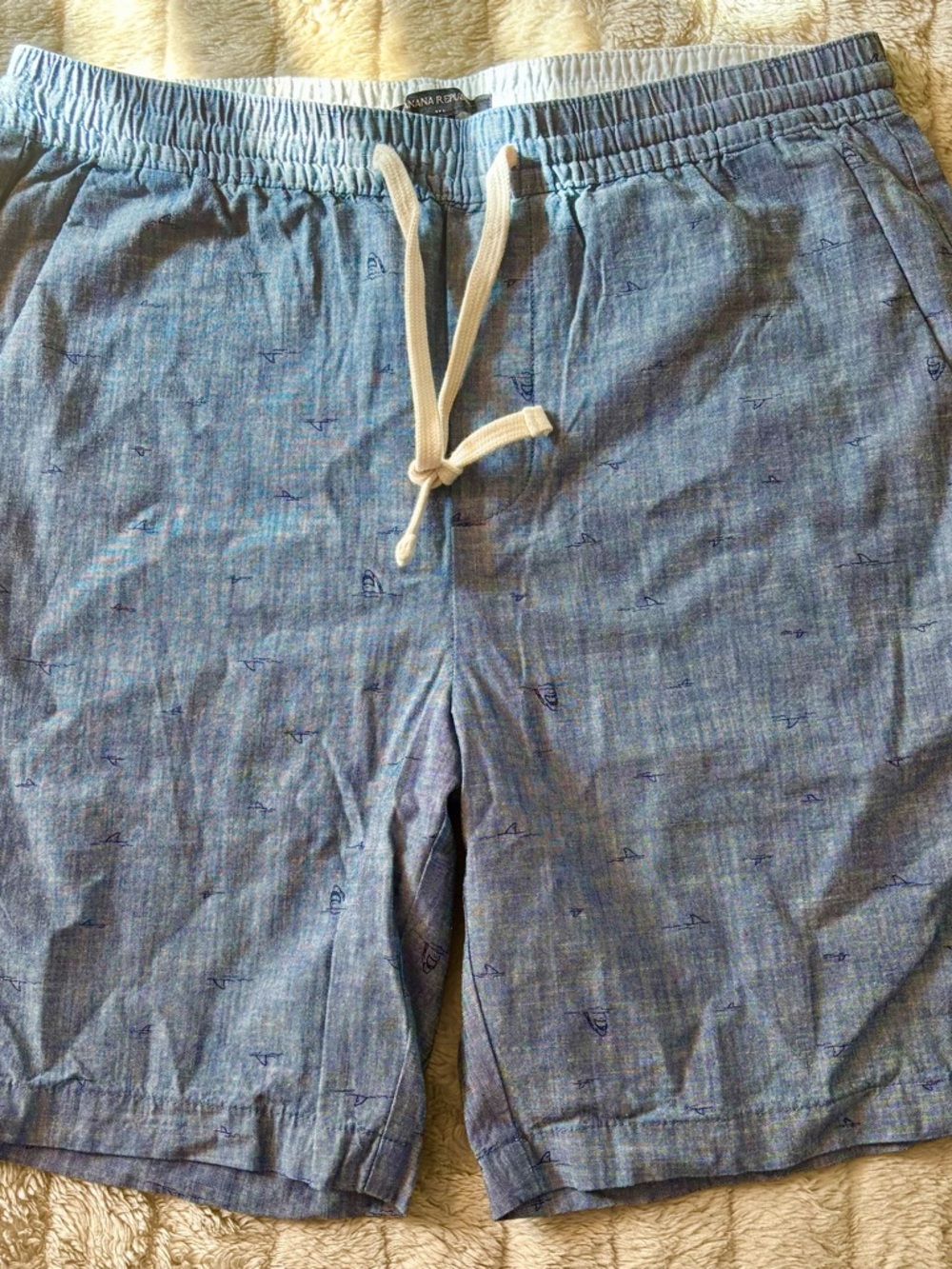 Banana Republic Light Blue Drawstring Flat Front Shorts